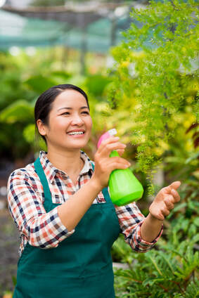 happy woman misting plants with handheld sprayer